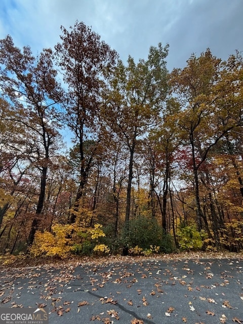 595 Whispering Dale Dr, Clarkesville, GA 30523 - photo 4