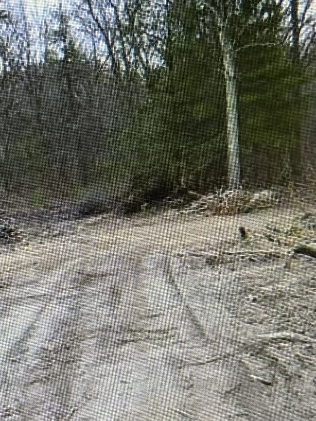 25 Matthew Ln, Windsor, CT 06095 - photo 2