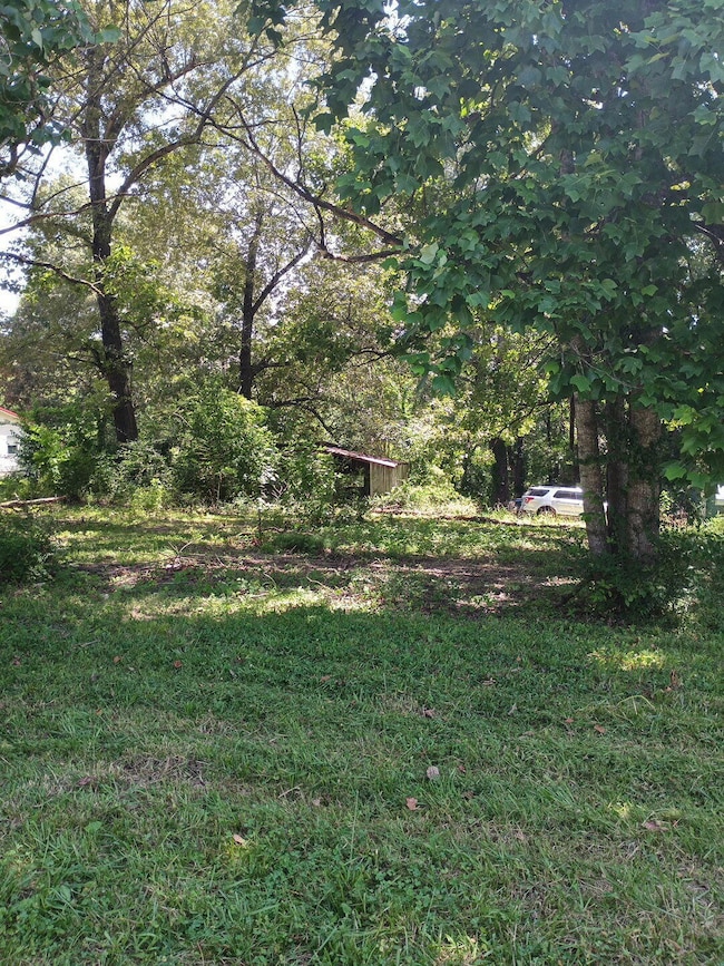 214 Sherman, Thayer, MO 65791 - photo 4