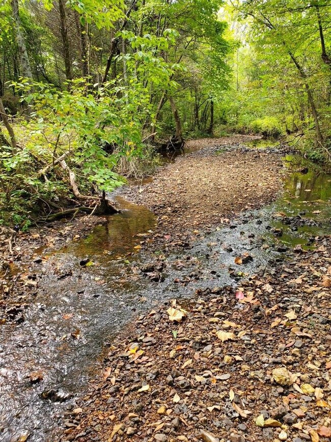 small creek on property