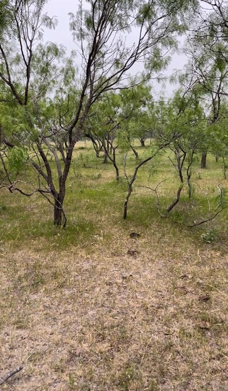 Lot 5 Gin Rd, Ennis, TX 75119 - photo 3