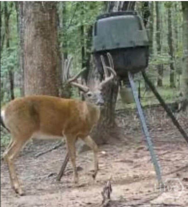 0 Georgia 72 unit CL344632, Comer, GA 30629 - photo 4