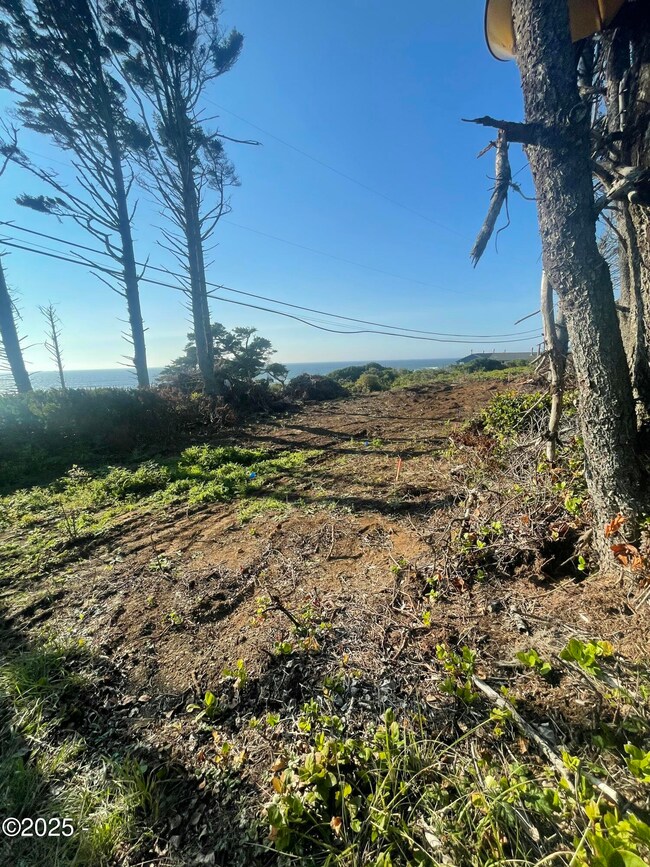 TL 400 Highway 101, Newport, OR 97365 - photo 5