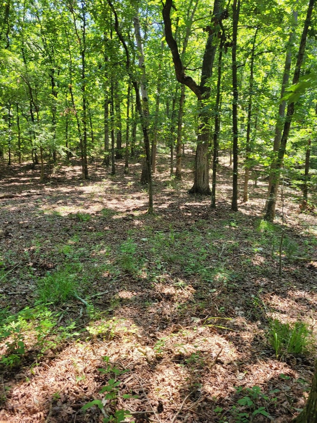 7000 Three Notch Rd, Ringgold, GA 30736 - photo 6