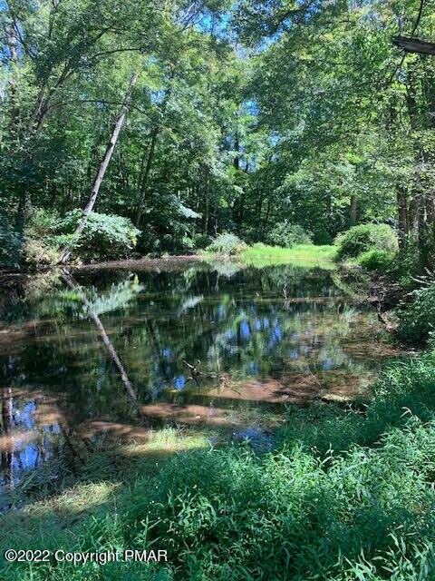 120 Deer Meadow Ln, Cresco, PA 18326 - photo 2
