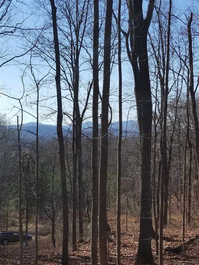 LOT 38 Blandemar Dr, Samuel Miller, VA 22903 - photo 7