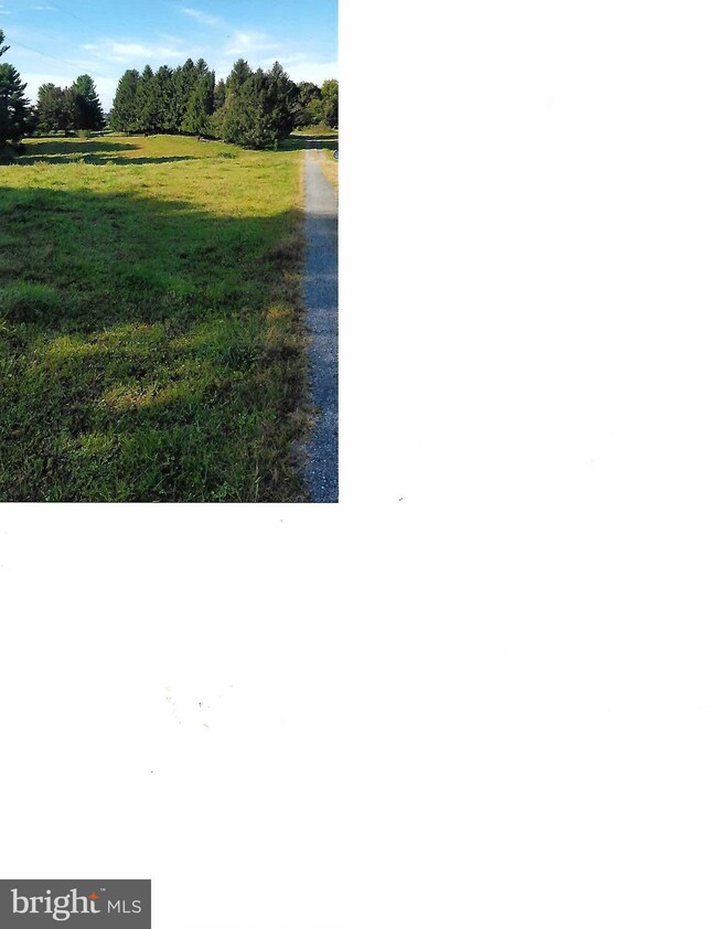 309 Pyletown Rd, Boyce, VA 22620 - photo 3