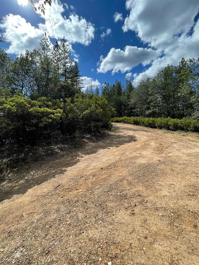0 Loggers Trail, Colfax, CA 95713 - photo 2