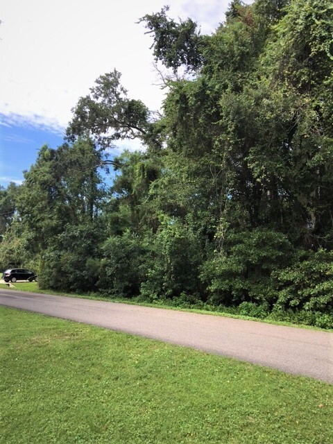 1/2 Acre Wooded LOT on Avant Road