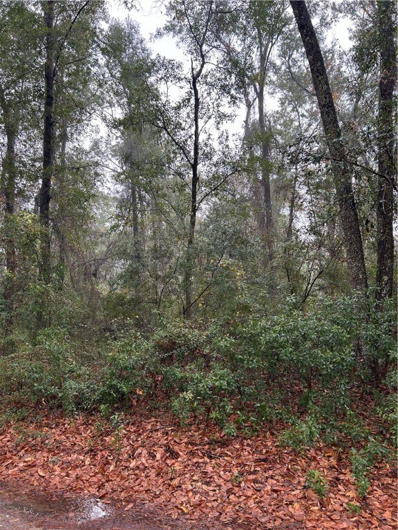 Lot 15 Harmony Hill Ln, Townsend, GA 31331 - photo 4