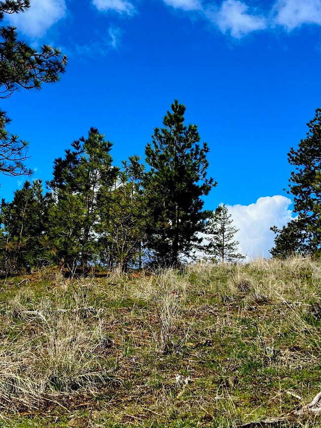 34430 N Partridge Ln N, Davenport, WA 99122 - photo 6