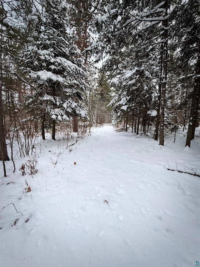 000 Campbell Rd, Clover, WI 54844 - photo 2