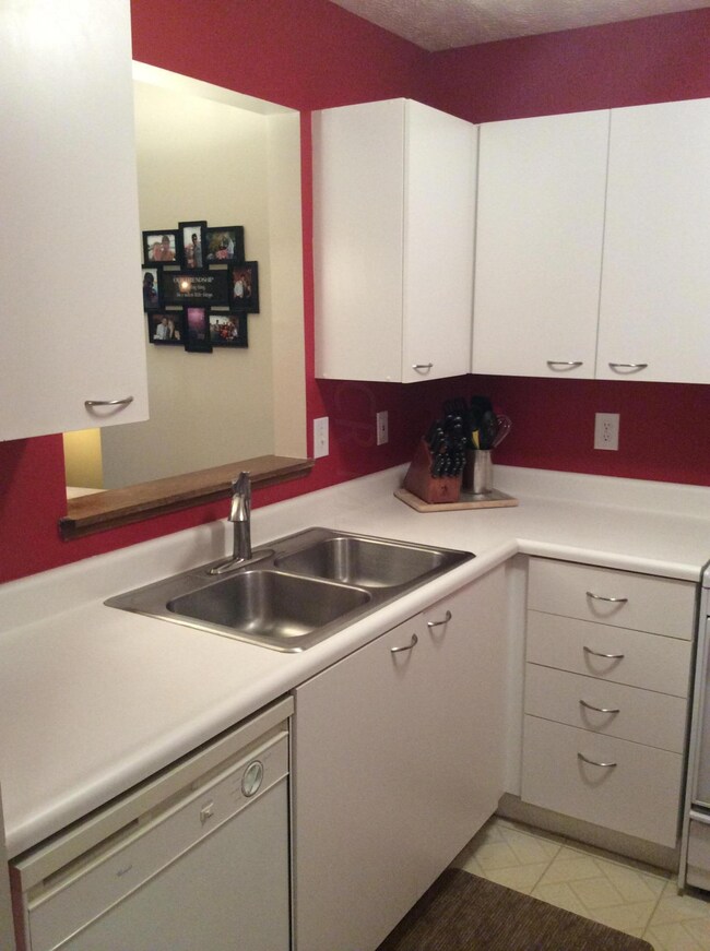 Kitchen Sink & Counter