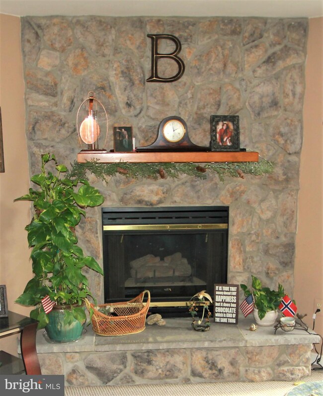 6422 Sugar Maple Ct, Fredericksburg, VA 22407 - photo 7