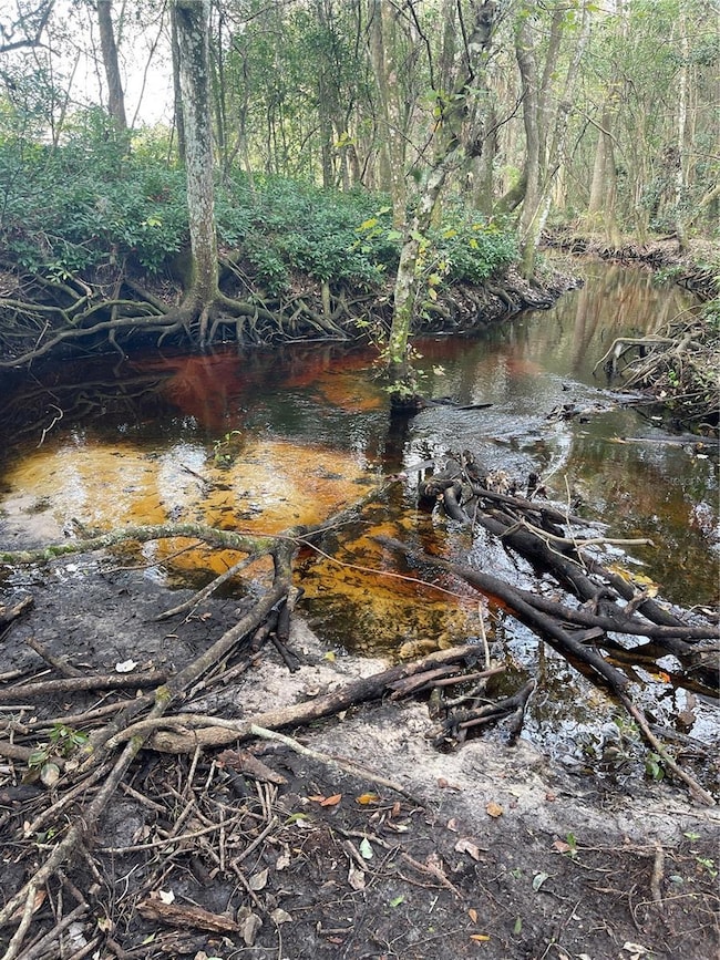 0 Ross Creek Rd, Lakeland, FL 33810 - photo 5