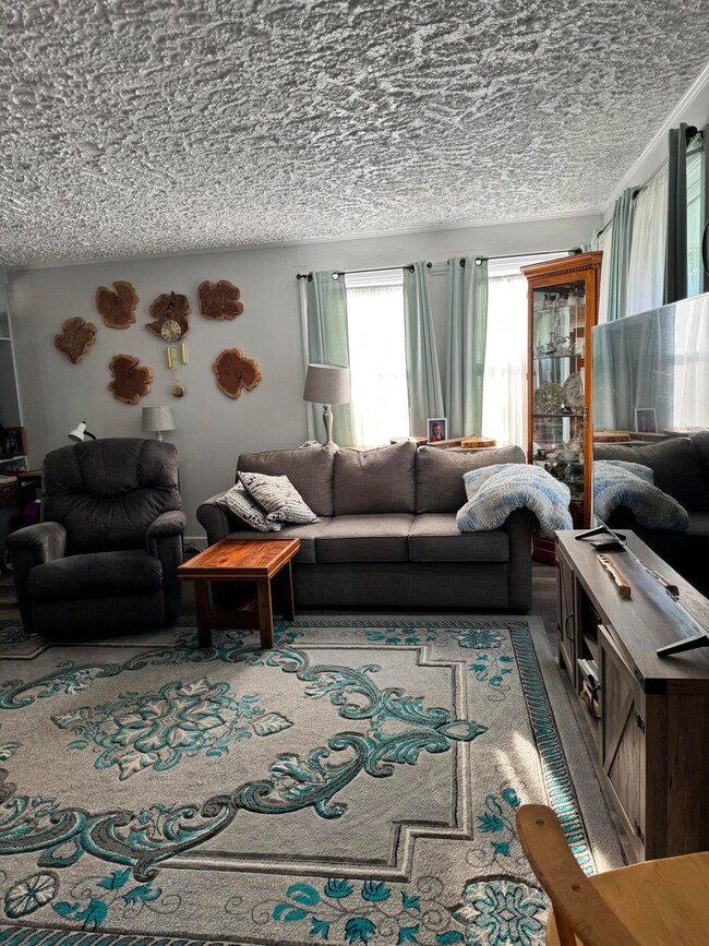 living room1