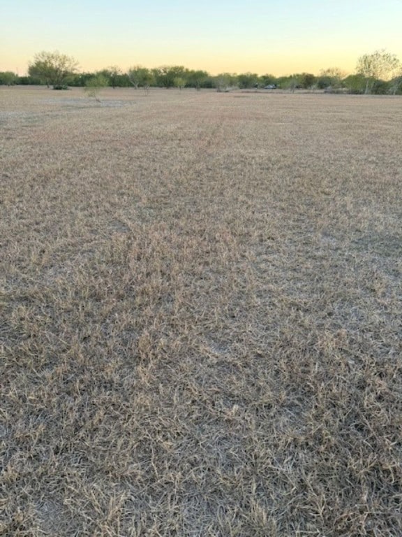 3872 Cobb Ln, Rancho Banquete, TX 78380 - photo 5