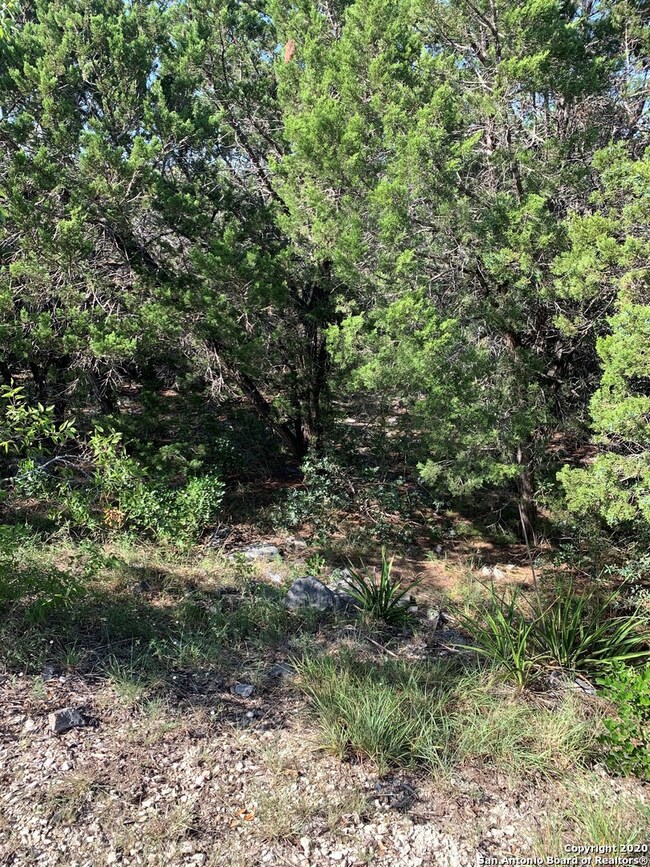 18322 Shadow Canyon Dr, Helotes, TX 78023 - photo 3