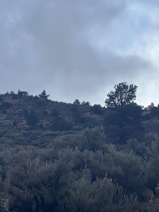 232 0, Fort Garland, CO 81133 - photo 7