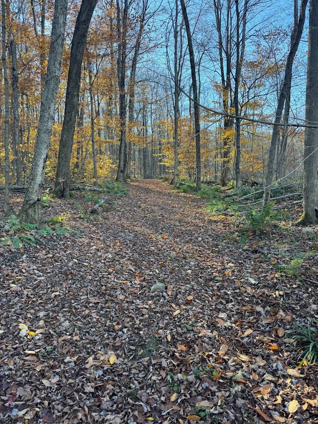 00 Town Line Rd, McGraw, NY 13101 - photo 7