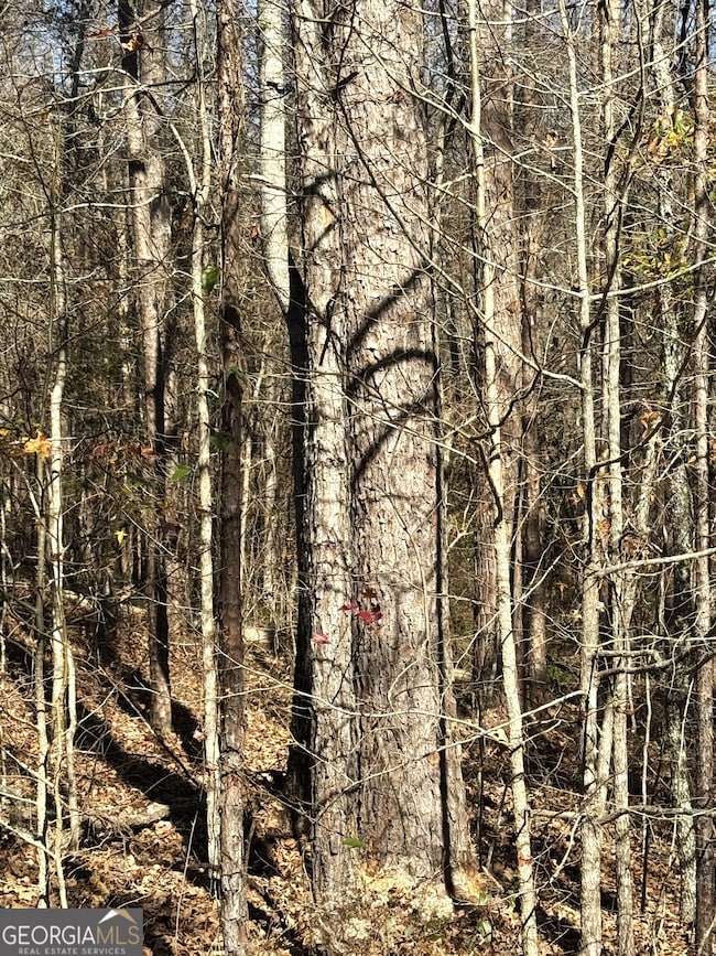 0 Arrowhead Dr unit 10651810, Delta, AL 36258 - photo 3