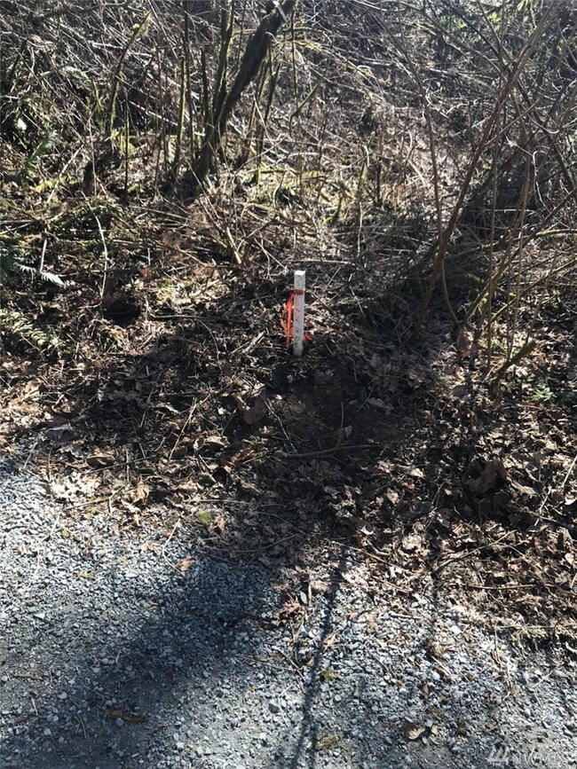 0 276th Way NE, Duvall, WA 98019 - photo 5