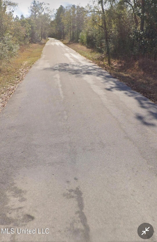0 Kit Maples Rd, Perkinston, MS 39573 - photo 2