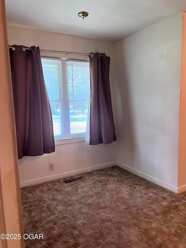 1005 E 13th St, Carthage, MO 64836 - photo 5