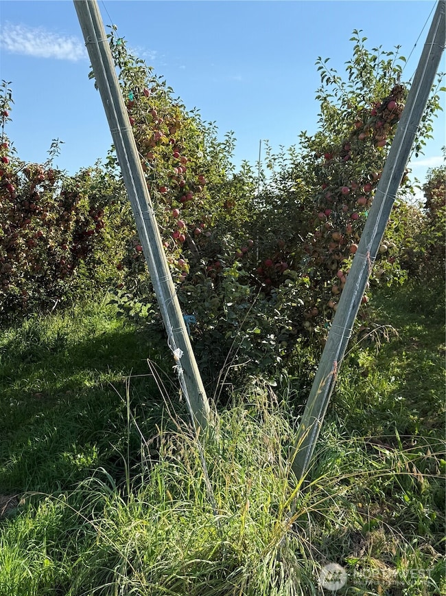 1 Mountainview Rd, Grandview, WA 98930 - photo 7