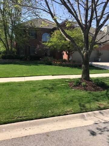 4628 Haviland Ct, Naperville, IL 60564 - photo 4