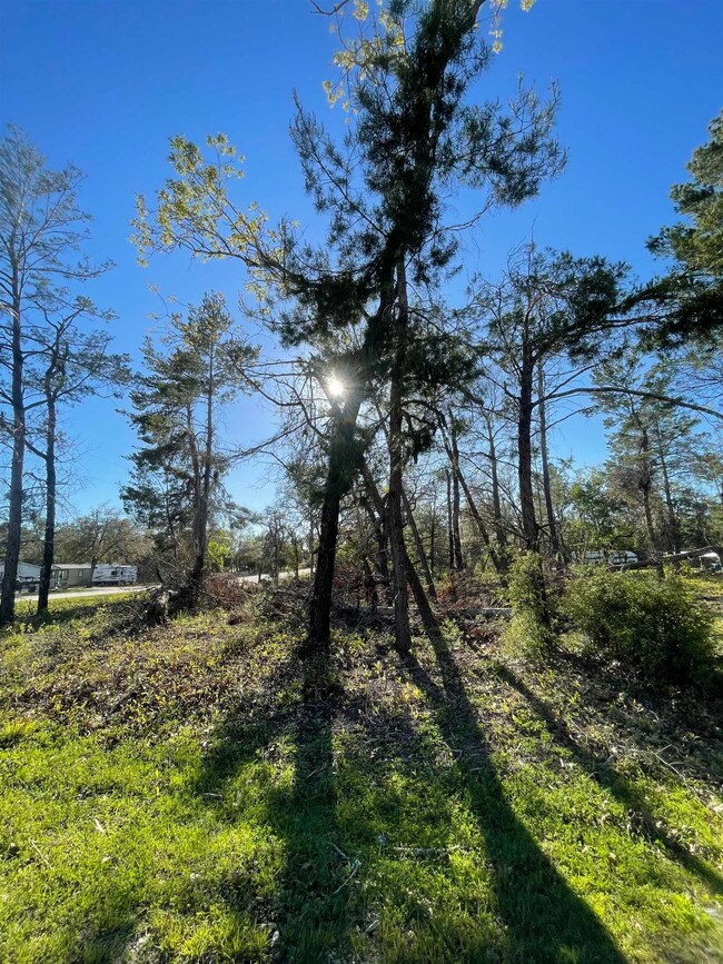 00 Reed Dr, Perry, FL 32348 - photo 4