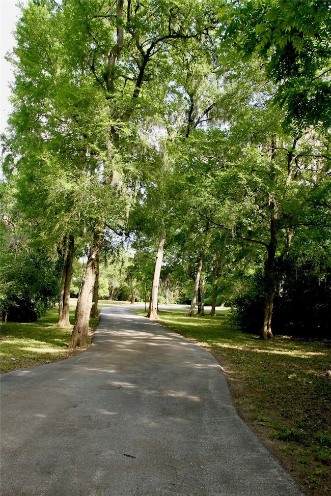 36 E Rivercrest Dr, Houston, TX 77042 - photo 4