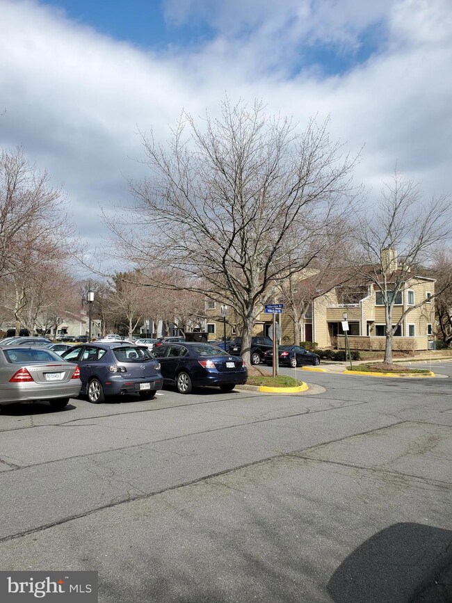 11043B Villaridge Ct unit B, Reston, VA 20191 - photo 2