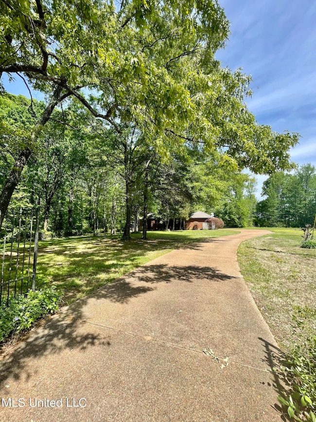 Driveway
