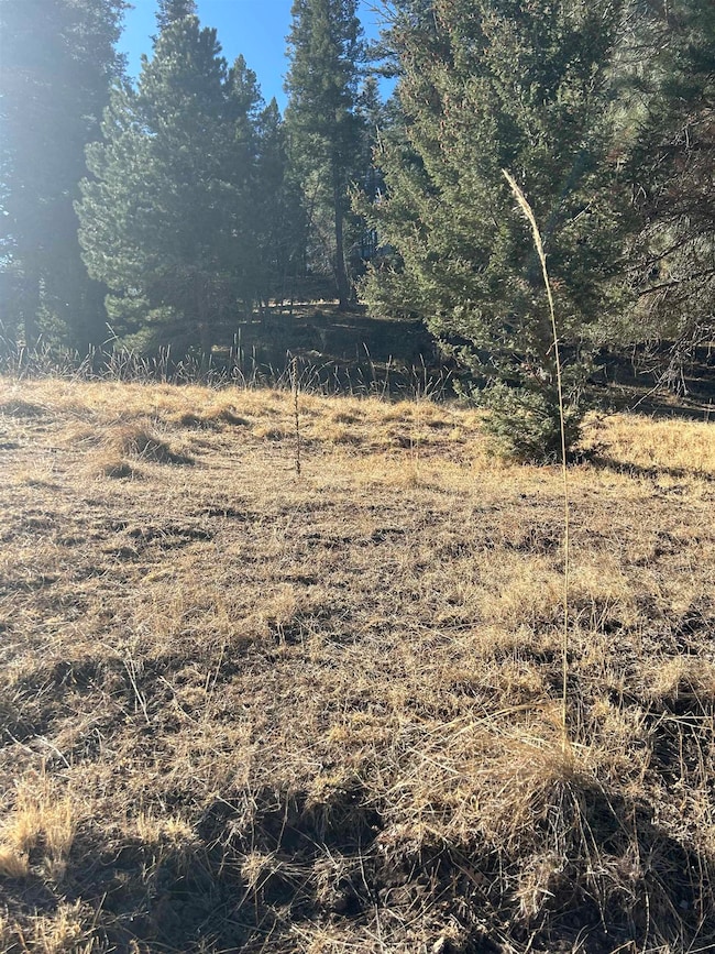 0 Trading Post Rd unit 66 170435, Cloudcroft, NM 88317 - photo 4