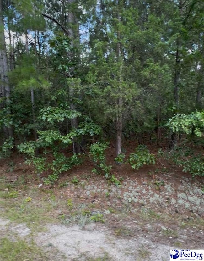 TBD Sail Club Rd (State Rd S-13-674) Tms 162, Hartsville, SC 29550 - photo 2