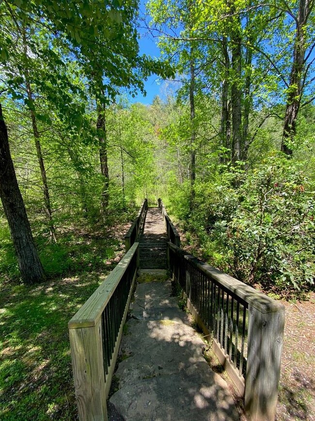 walkways to Cullowhee Creek
