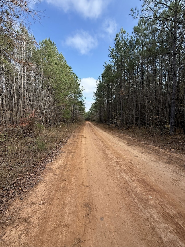 35895 Nc Hwy 561, Hollister, NC 27844 - photo 2