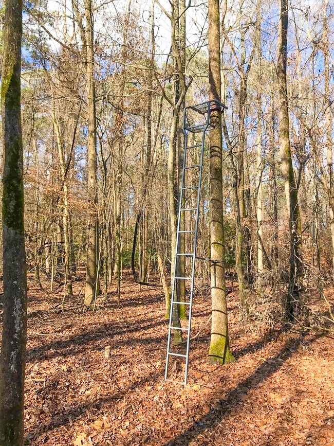 0 Cr 1651 unit 20219279, Avinger, TX 75630 - photo 5