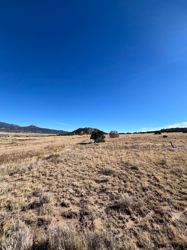 0 County Road 541 unit 95, Gardner, CO 81040 - photo 7
