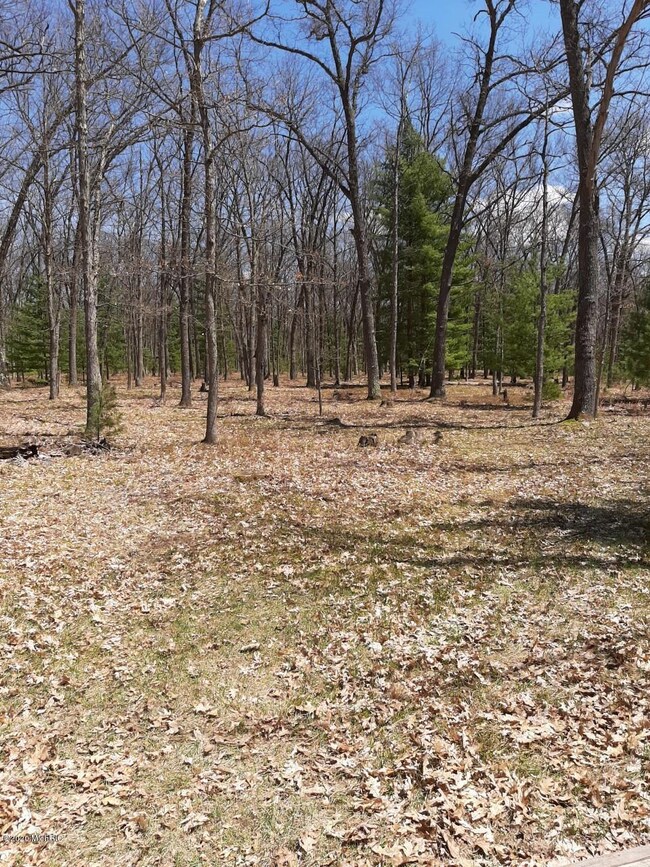 Grounds 2