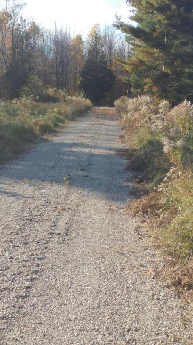 05035 Cr 689, South Haven, MI 49090 - photo 4