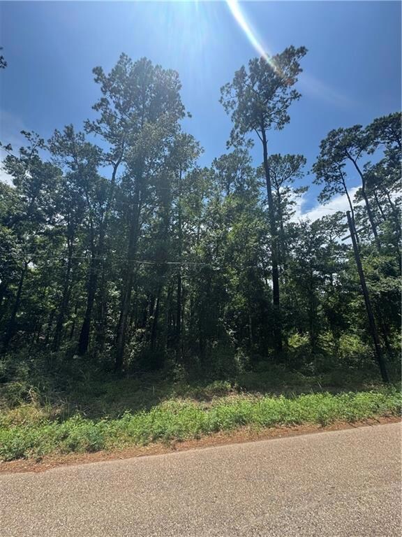 0 Lucille Dr unit 2512700, Lacombe, LA 70445 - photo 4