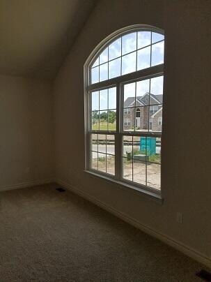 Woodstone 10