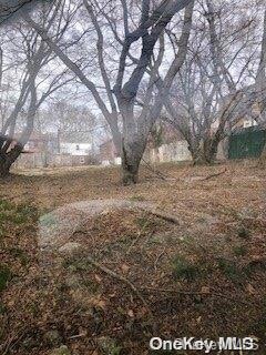 145-17 Willets Point Blvd, Flushing, NY 11357 - photo 3