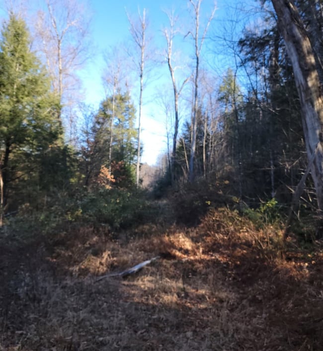 00 Elliott Rd, Hico, WV 25854 - photo 4