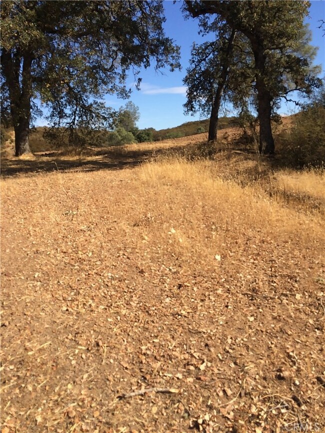 Roadway on property up to knoll.