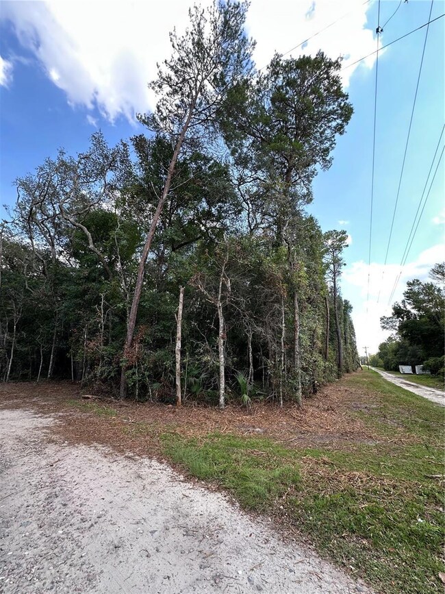 TBD NE 234th Place, Fort McCoy, FL 32134 - photo 5