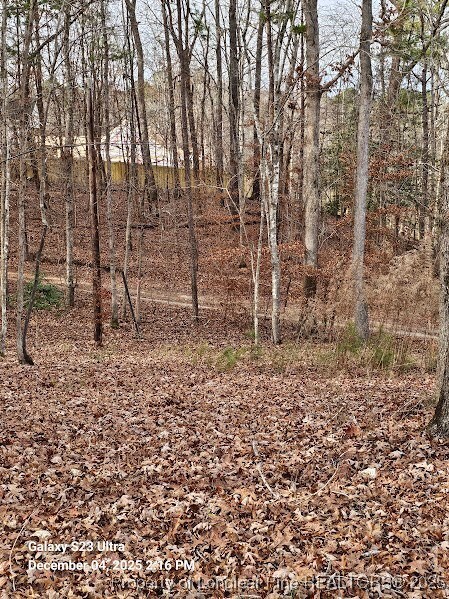 0 Natchez Trace unit 754229, Buckhorn, NC 27526 - photo 6