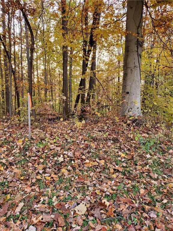 1070-1071 E Mohican Trail, Fugit Township, IN 47240 - photo 4